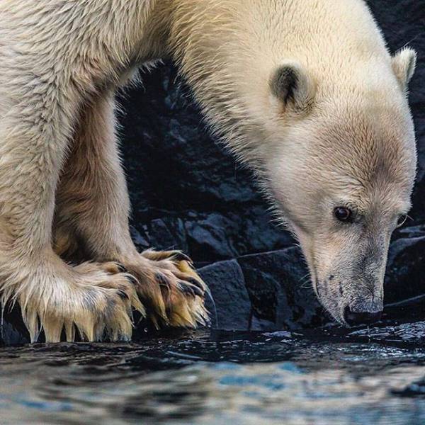 The Reason Why You Should Follow National Geographic On Instagram