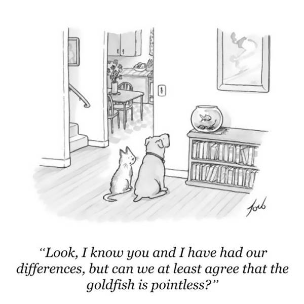 Some Of The Best New Yorker Cartoons That Will Definitely Crack You Up ...