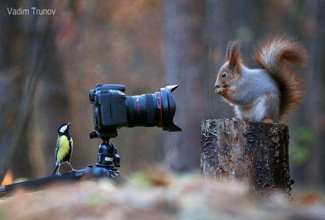One Of The Cutest Photo Shoots With Squirrels