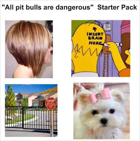 The Best Of The Starter Packs Memes