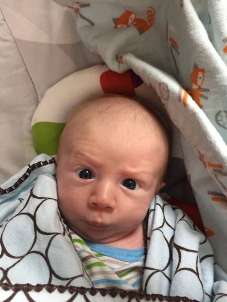 This Little Baby Has Facial Expressions Of An Adult And It’s Hilarious