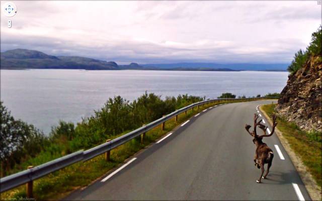 A Bunch Of Really Strange Pictures Caught By Google Street View
