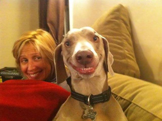 Animals That Look Hilariously Bad In Photos