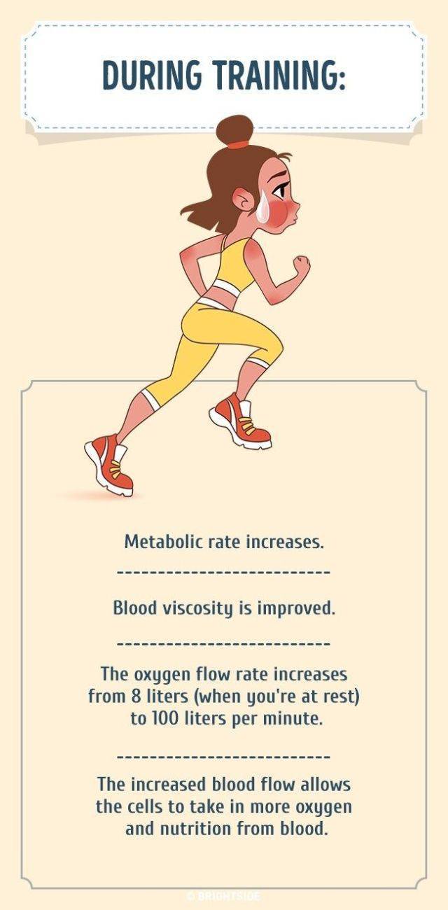 How 30 Minutes Of Daily Exercise Affects Your Body