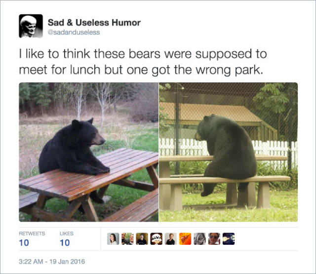 Funny Twitter Jokes That Will Crack You Up