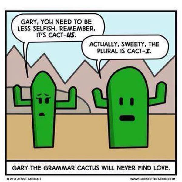 Funny Grammar Jokes That You Won’t Help But Laugh At