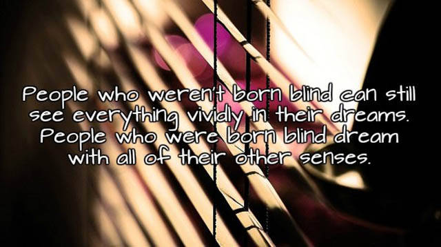 Interesting Facts About Sleep And Dreams You Didn’t Know Interesting Facts About Sleep And Dreams You Didn’t Know