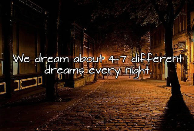 Interesting Facts About Sleep And Dreams You Didn’t Know Interesting Facts About Sleep And Dreams You Didn’t Know