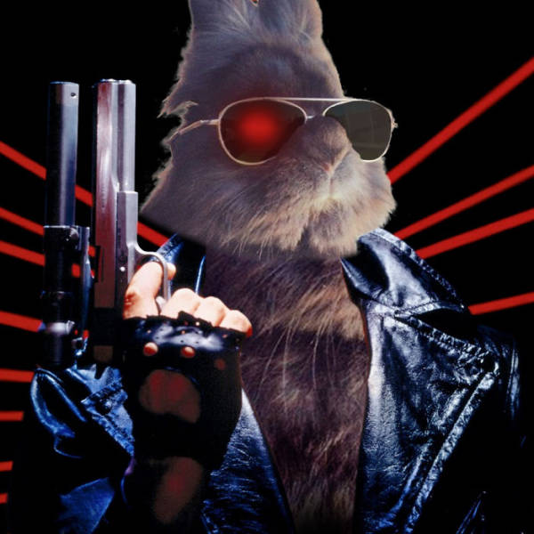 This Rabbit In Sunglasses Makes For A Perfect Photoshop Battle