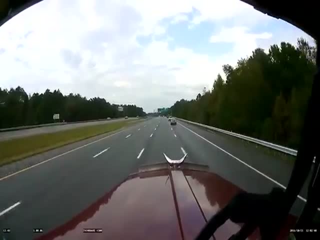 Jackass Driver Almost Causes A Major Accident