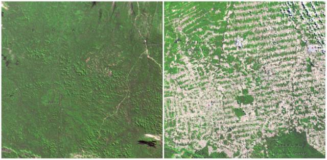 Incredible NASA Images Show How The Earth’s Appearance Has Drastically Changed Over The Years