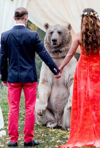Just An Ordinary Russian Wedding
