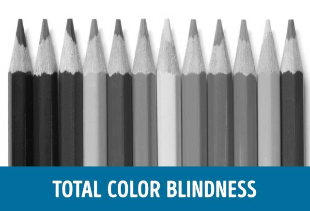 How People Who Have Different Types Of Color Blindness Perceive The World Around Them