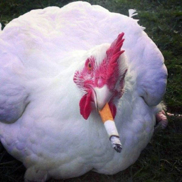 Russia: The Motherland Of The Weird And The Russia: The Motherland Of The Weird And The