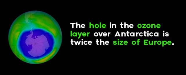 Interesting Facts About Antarctica That You Didn’t Know