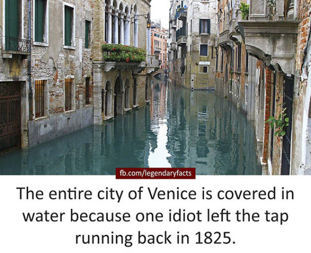 Fake Facts That Will Make Your Friday Even Better