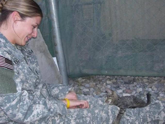 Soldier Didn’t Want To Leave Afghanistan Without A Disabled Kitty She’s Found There