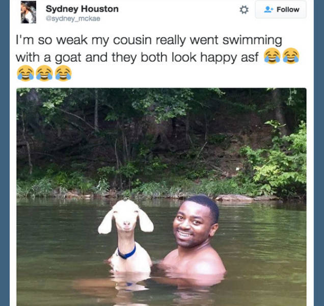 Great Animal Tumblr Posts That Will Make Your Day