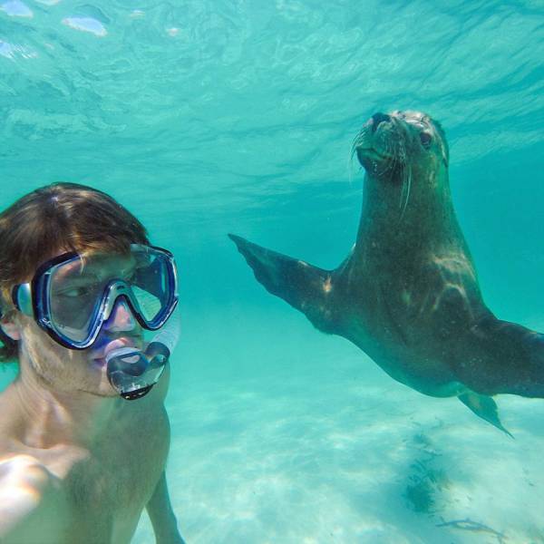This Guy Has A Special Skill At Taking Awesome Selfies With Animals