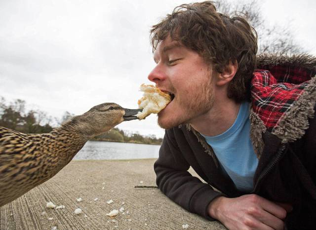 This Guy Has A Special Skill At Taking Awesome Selfies With Animals