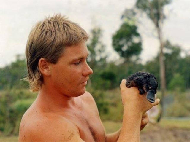 Let’s Take A Walk Down A Memory Lane With Legendary Steve Irwin