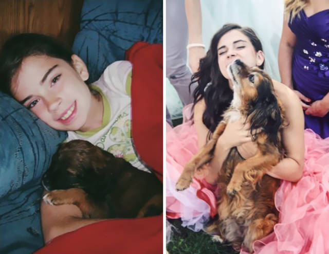 Then And Now Photos Of Dogs And Their Owners Growing Up Together