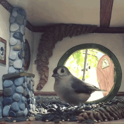Woman Creates Cute Little Houses For Her Little Bird Friends