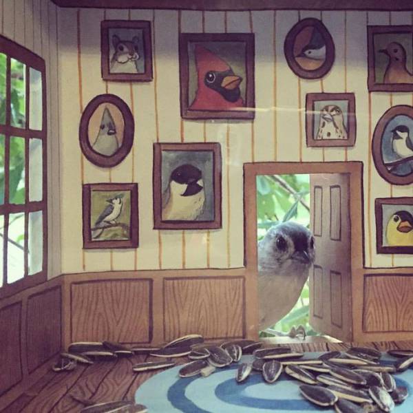 Woman Creates Cute Little Houses For Her Little Bird Friends