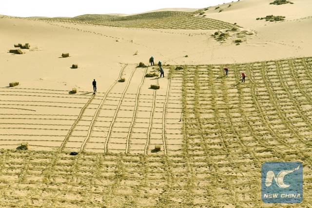 This Is How China Fights Against Desertification