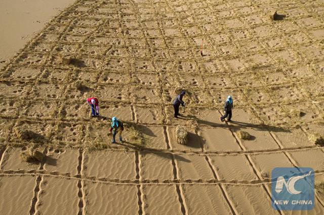 This Is How China Fights Against Desertification
