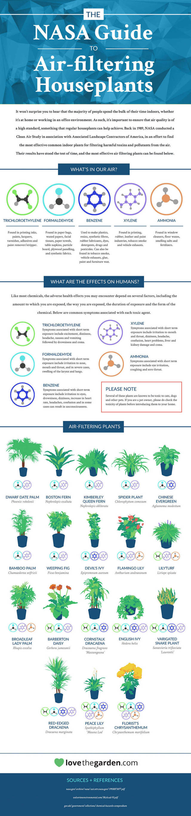 NASA Published A List Of Air-Filtering Plants That Are Best For Your Home