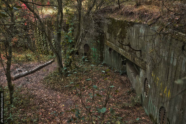 Inside Abandoned Camp Earthworm