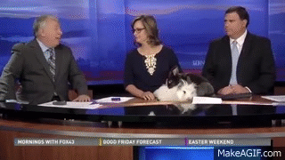 The News Provide Us With Some Epic Bloopers