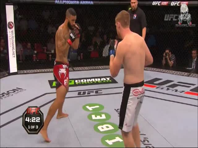 MMA Fighters And The Audience Have The Best Reaction Ever After A Fan Yells 