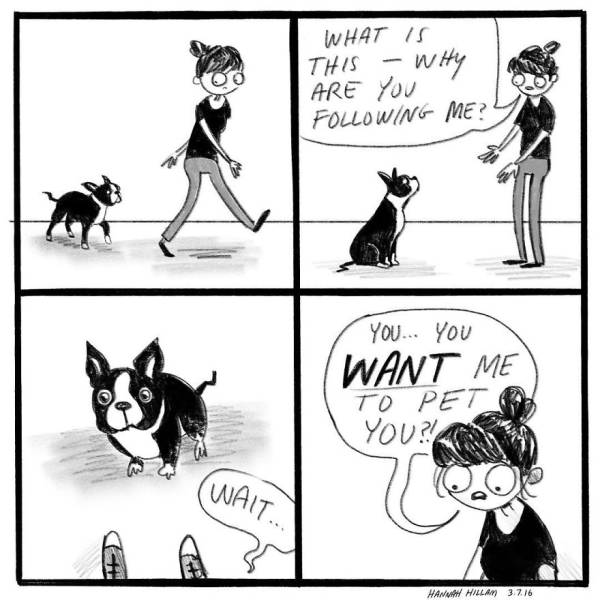Funny Comics Of A ‘Cat Lady’ That Depicts What Life Really Is When You Have Cats
