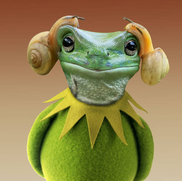 Hilarious Photoshop Battle Began After This Photo Of A Frog That Looks Like Princess Leia Appeared Online