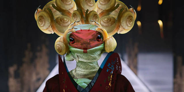 Hilarious Photoshop Battle Began After This Photo Of A Frog That Looks Like Princess Leia Appeared Online