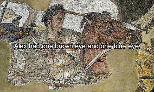 Interesting Facts Alexander The Great