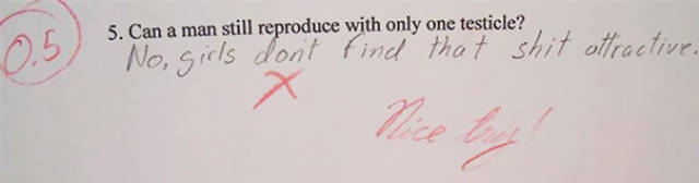 Kids Deliver Hilarious Answers To Exam Questions