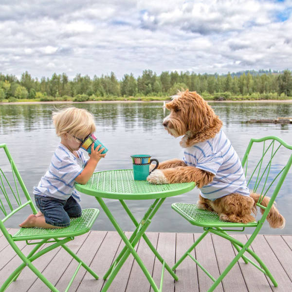 Adorable Labradoodle And A Boy Are Best Buds Who Do Everything Together
