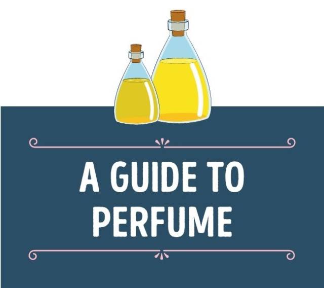 If You Want To Become A Fine Perfume Connoisseur This Guide Is For You