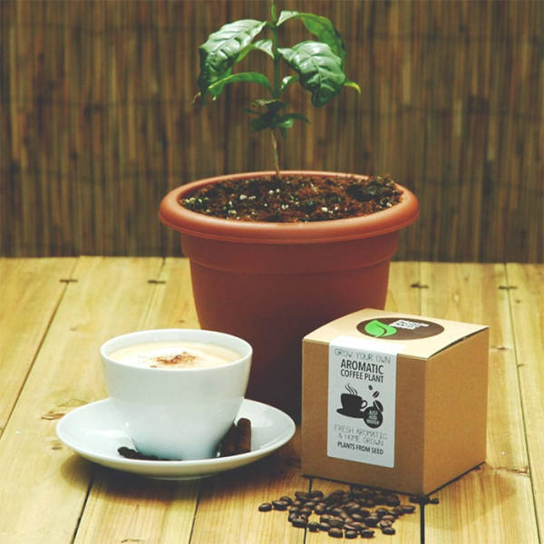 Awesome Gift Ideas For Coffee Lovers