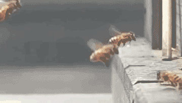These Gifs With Unneccessary Explosions Do Look Badass