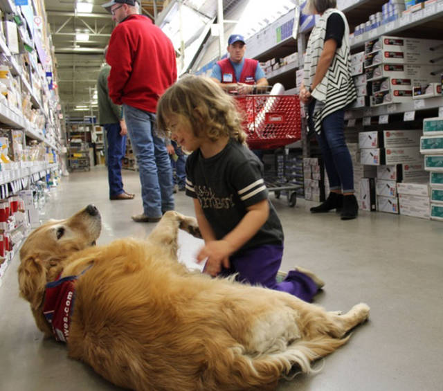 Disabled Veteran Gets Hired By A Hardware Store Together With His Service Dog