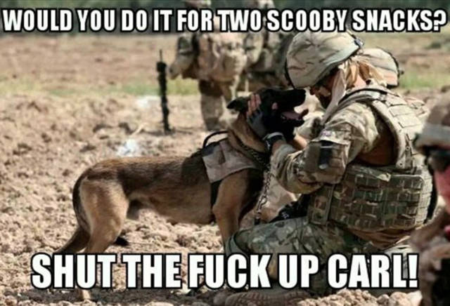 Funny American Military Memes That Will Make You LOL