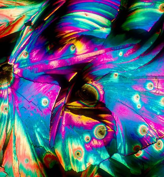 Spirits And Cocktails That Look Absolutely Kickass Under The Microscope