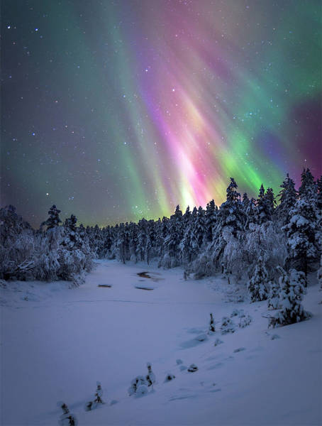 When Winter Comes To Lapland, It Makes It A Magical Place