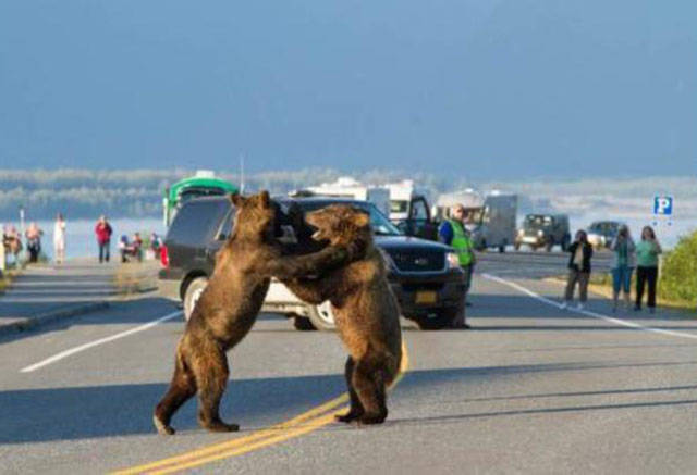 American States Long Story Short. One Pic = One State In A Nutshell American States Long Story Short. One Pic = One State In A Nutshell