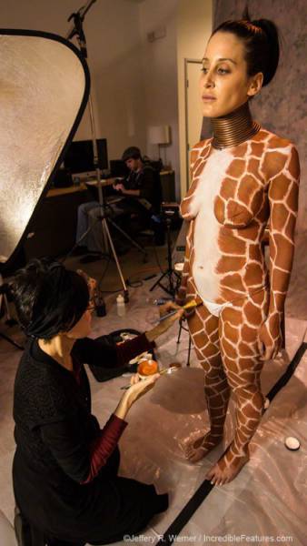 She Literally Stopped Sticking Her Neck Out. The Neck-Rings Of Giraffe