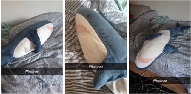 Sometimes The Short Jokes Are The Best Ones. These Snapchats From 2016 ...